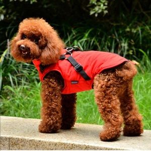 Warm jacket and harness size 3xl